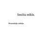 Prezentācija 'Smilšu mīkla', 1.