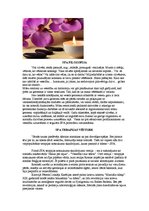 Referāts 'SPA procedūras', 3.