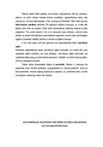 Referāts 'SPA procedūras', 8.