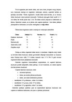 Referāts 'SPA procedūras', 10.