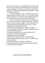 Referāts 'SPA procedūras', 11.