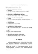 Referāts 'SPA procedūras', 16.