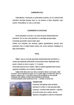 Referāts 'SPA procedūras', 17.