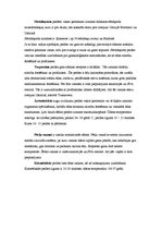 Referāts 'SPA procedūras', 21.