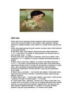 Referāts 'SPA procedūras', 22.