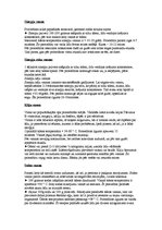 Referāts 'SPA procedūras', 24.