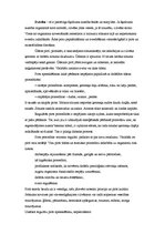 Referāts 'SPA procedūras', 27.