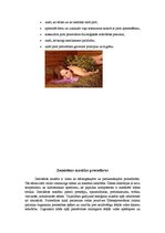 Referāts 'SPA procedūras', 28.