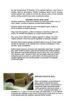 Referāts 'SPA procedūras', 29.