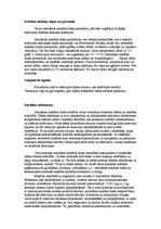 Referāts 'SPA procedūras', 31.