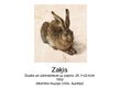 Prezentācija 'Albrehts Dīrers. Personība. Darbi', 16.