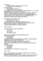 Konspekts 'Elpošanas sitēma', 2.