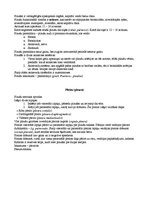 Konspekts 'Elpošanas sitēma', 6.