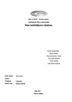 Biznesa plāns 'Ādas sēdekļu izgatavošana', 2.