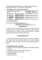 Biznesa plāns 'Ādas sēdekļu izgatavošana', 6.