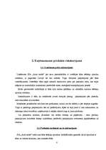 Biznesa plāns 'Ādas sēdekļu izgatavošana', 8.