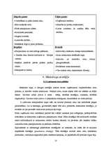 Biznesa plāns 'Ādas sēdekļu izgatavošana', 14.