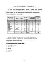 Biznesa plāns 'Ādas sēdekļu izgatavošana', 19.