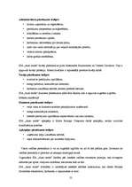 Biznesa plāns 'Ādas sēdekļu izgatavošana', 22.