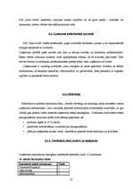 Biznesa plāns 'Ādas sēdekļu izgatavošana', 23.