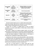 Biznesa plāns 'Ādas sēdekļu izgatavošana', 26.