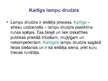 Prezentācija 'Prasmīgas prezentācijas un referāti', 12.