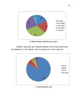 Diplomdarbs 'Sporta pasākuma projekts', 24.