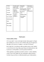 Referāts 'SVID analīze "Latvijas Avīze"', 3.