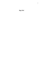 Referāts 'Rīgas domes priekšsēdētāja Nila Ušakova projekts "Rīdzinieka kartes"', 2.