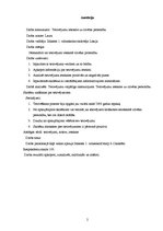 Referāts 'Tetovējuma ietekme uz cilvēka personību', 2.
