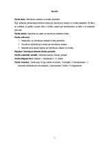 Referāts 'Tetovējuma ietekme uz cilvēka personību', 5.