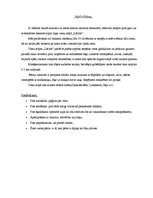 Referāts 'Viesu mājas apraksts', 3.