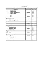 Referāts 'Viesu mājas apraksts', 4.