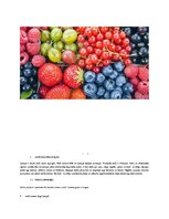 Referāts 'Latvijas ogas', 3.