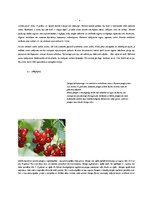 Referāts 'Latvijas ogas', 10.