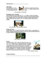 Referāts 'Čehijas tūrisma resursi', 5.