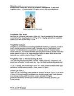 Referāts 'Čehijas tūrisma resursi', 7.