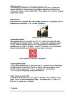 Referāts 'Čehijas tūrisma resursi', 8.