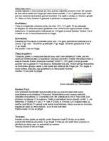 Referāts 'Čehijas tūrisma resursi', 9.