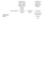 Konspekts 'Lielā Franču revolūcija', 2.