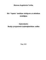 Referāts 'SIA "Tapeks" darbības vērtējums un attīstības stratēģija', 1.