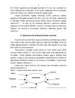 Referāts 'SIA "Tapeks" darbības vērtējums un attīstības stratēģija', 12.