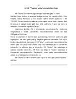 Referāts 'SIA "Tapeks" darbības vērtējums un attīstības stratēģija', 17.