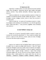 Referāts 'SIA "Tapeks" darbības vērtējums un attīstības stratēģija', 20.