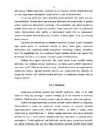 Referāts 'SIA "Tapeks" darbības vērtējums un attīstības stratēģija', 23.