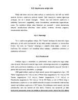 Referāts 'SIA "Tapeks" darbības vērtējums un attīstības stratēģija', 28.