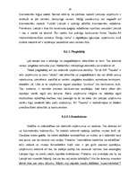 Referāts 'SIA "Tapeks" darbības vērtējums un attīstības stratēģija', 30.