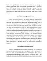 Referāts 'SIA "Tapeks" darbības vērtējums un attīstības stratēģija', 31.