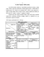 Referāts 'SIA "Tapeks" darbības vērtējums un attīstības stratēģija', 41.