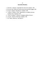 Referāts 'SIA "Tapeks" darbības vērtējums un attīstības stratēģija', 48.